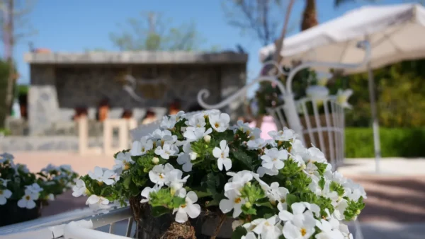 arreglos florales para bodas